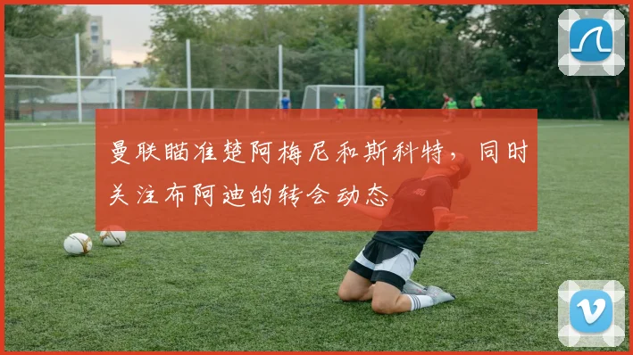 曼联瞄准楚阿梅尼和斯科特，同时关注布阿迪的转会动态