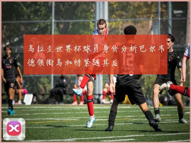 乌拉圭世界杯球员身价分析巴尔韦德领衔乌加特紧随其后