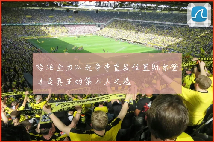 哈珀全力以赴争夺首发位置凯尔登才是真正的第六人之选